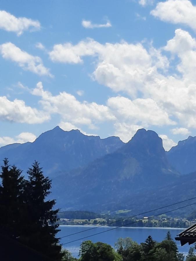 Evi Apartament
